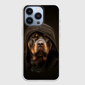 Чехол для iPhone 13 Pro с принтом Ротвейлер в капюшоне ,  |  | rottweiler | капюшон | молоссы | пастух | пёс | собака | щенок
