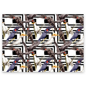 Поздравительная открытка с принтом Попугаи какаду , 100% бумага | плотность бумаги 280 г/м2, матовая, на обратной стороне линовка и место для марки
 | Тематика изображения на принте: birds | bri | cockatoo | exotic | jungle | palm | parrots | tropical | акварель | геометрический | графика | джунгли | иллюстрация | картинка | мода | молодежная | орнамент | пальмы | попугаи | птицы | рисунок | стиль
