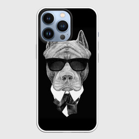 Чехол для iPhone 13 Pro с принтом Питбуль ,  |  | Тематика изображения на принте: animals | black | black and white | cool | dog | fight | gentleman | head | illustration | pitbull | swag | white | авторитет | белая | бойцовый | галстук бабочка | голова | джентльмен | животные | иллюстрация | костюм | крутой | очки | 
