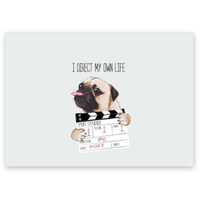 Поздравительная открытка с принтом I direct my own life , 100% бумага | плотность бумаги 280 г/м2, матовая, на обратной стороне линовка и место для марки
 | Тематика изображения на принте: animal | board | direct | dog | his | i | life | pug | slate | the inscription | грифельная | доска | животное | жизнь | мопс | надпись | направляю | свою | собака | я