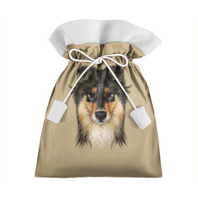 Подарочный 3D мешок с принтом Sheltie , 100% полиэстер | Размер: 29*39 см | animal | black | breed | brown | cute | dog | drawing | eyes | kind | look | muzzle | portrait | red | взгляд | глаза | добрый | животное | коричневый | милый | пёс | порода | портрет | рисунок | рыжий | собака | черный | шелти