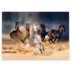 Поздравительная открытка с принтом Табун , 100% бумага | плотность бумаги 280 г/м2, матовая, на обратной стороне линовка и место для марки
 | animal | beautiful | black | brown | desert | gloss | herd | horse | mane | mustang | muzzle | nature | sand | white | wild | белый | грива | дикий | животное | конь | коричневый | красивый | лоск | лошадь | мустанг | песок | природа | пусты