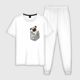 Мужская пижама хлопок с принтом Мопс в кармане , 100% хлопок | брюки и футболка прямого кроя, без карманов, на брюках мягкая резинка на поясе и по низу штанин
 | pug | карман | карманный мопс | малыш | милый | мопс | пес | песик | собака | собачка