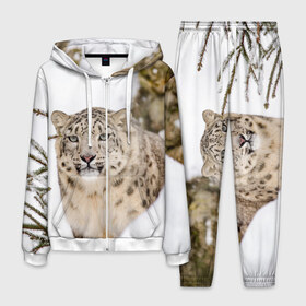 Мужской костюм 3D с принтом Ирбис , 100% полиэстер | Манжеты и пояс оформлены тканевой резинкой, двухслойный капюшон со шнурком для регулировки, карманы спереди | Тематика изображения на принте: snow leopard | барс | барсы | животное | животные | звери | зверь | зима | зимы | ирбис | киски | кот | коты | кошачьи | кошка | кошки | мохнатые | мохнатый | пятнистые | пятнистый | снег | снежный