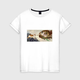Женская футболка хлопок с принтом Сотворение Адама и кот , 100% хлопок | прямой крой, круглый вырез горловины, длина до линии бедер, слегка спущенное плечо | mem | memes | весело | искусство | кот | котик | мем | прикол | сотворение адама