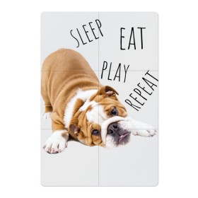 Магнитный плакат 2Х3 с принтом Sleep Eat Play Repeat (Бульдог) , Полимерный материал с магнитным слоем | 6 деталей размером 9*9 см | bulldog | dog | puppy | sleep eat play repeat | английский бульдог | бульдог | бульдог английский | веселая собака | веселый щенок | игривый щенок | мысли с | мысли щенка | рыжая собака | рыжий щенок | собачья жизнь
