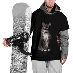 Накидка на куртку 3D с принтом Котики , 100% полиэстер |  | Тематика изображения на принте: animal | animals | beast | black | cat | kitten | животное | животные | зверек | зверь | кот | котейка | котенок | котики | котэ | кошка | кошки | мейн кун | черная