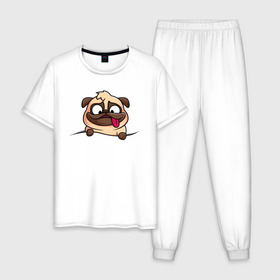Мужская пижама хлопок с принтом Мопс , 100% хлопок | брюки и футболка прямого кроя, без карманов, на брюках мягкая резинка на поясе и по низу штанин
 | pug | милые создания | мопс | пес | рисунок | собака | собачка | щенок | щенок мопс