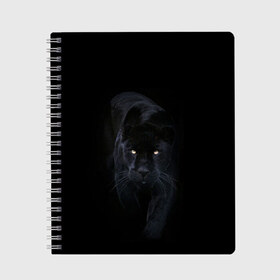 Тетрадь с принтом Пантера , 100% бумага | 48 листов, плотность листов — 60 г/м2, плотность картонной обложки — 250 г/м2. Листы скреплены сбоку удобной пружинной спиралью. Уголки страниц и обложки скругленные. Цвет линий — светло-серый
 | Тематика изображения на принте: animal | animals | beast | black | cat | kitten | phanter | животное | животные | зверек | зверь | кот | котики | кошка | кошки | пантера | черная