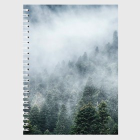 Тетрадь с принтом Туманный лес , 100% бумага | 48 листов, плотность листов — 60 г/м2, плотность картонной обложки — 250 г/м2. Листы скреплены сбоку удобной пружинной спиралью. Уголки страниц и обложки скругленные. Цвет линий — светло-серый
 | Тематика изображения на принте: белый | зеленый | лес | облака | облако | природа | темный | туман