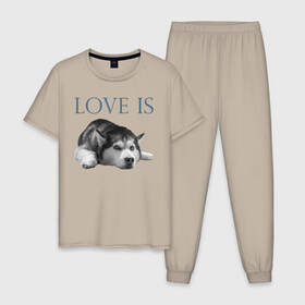 Мужская пижама хлопок с принтом Любовь - это хаски , 100% хлопок | брюки и футболка прямого кроя, без карманов, на брюках мягкая резинка на поясе и по низу штанин
 | Тематика изображения на принте: дрессировка | забота | любовь | сибирский хаски | собака | собаки | собачка | собачник | увлечение | хаски | хобби