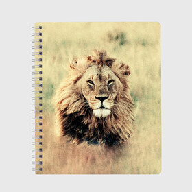 Тетрадь с принтом Lion King , 100% бумага | 48 листов, плотность листов — 60 г/м2, плотность картонной обложки — 250 г/м2. Листы скреплены сбоку удобной пружинной спиралью. Уголки страниц и обложки скругленные. Цвет линий — светло-серый
 | Тематика изображения на принте: animals | king | lion | африка | взгляд | голова | грива | дикие | животные | зверек | зверь | зодиак | клыки | король | кот | кошак | кошка | лапы | лев | лео | львенок | оскал | природа | саванна | симба | созвездие