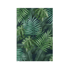 Обложка для паспорта матовая кожа с принтом Тропики , натуральная матовая кожа | размер 19,3 х 13,7 см; прозрачные пластиковые крепления | summer | банановая | банановые | джунгли | зелень | краски | летняя | лето | листики | листы | листья | надпись | настроение | отдых | отпуск | пальма | пальмовые | пальмы | папоротник | пляжная | позитив