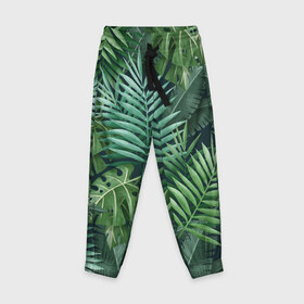 Детские брюки 3D с принтом Тропики , 100% полиэстер | манжеты по низу, эластичный пояс регулируется шнурком, по бокам два кармана без застежек, внутренняя часть кармана из мелкой сетки | summer | банановая | банановые | джунгли | зелень | краски | летняя | лето | листики | листы | листья | надпись | настроение | отдых | отпуск | пальма | пальмовые | пальмы | папоротник | пляжная | позитив
