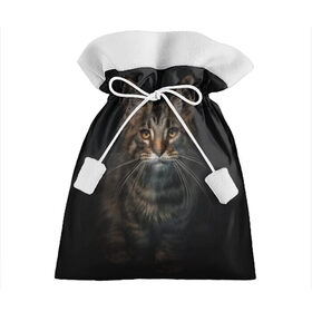 Подарочный 3D мешок с принтом Кот усатый , 100% полиэстер | Размер: 29*39 см | Тематика изображения на принте: cat | кот | котёнок | котик | кошка | мейн кун | полосатый | пушистый | усатый