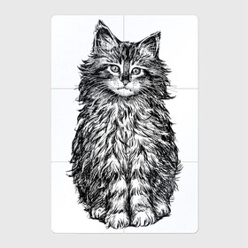Магнитный плакат 2Х3 с принтом Пушистый котенок , Полимерный материал с магнитным слоем | 6 деталей размером 9*9 см | белый котенок | кот | котенок | коты | котята | кошечка | кошка | кошки | милые котята | милый котенок | няшки | пушистый котенок