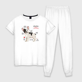 Женская пижама хлопок с принтом Французский бульдог funny pet , 100% хлопок | брюки и футболка прямого кроя, без карманов, на брюках мягкая резинка на поясе и по низу штанин | Тематика изображения на принте: bulldog | dog | french bulldog | funny | honey | pet | бульдог | бульдожка | девушкам | забавный | инструкция | кутенок | милый | пес | песик | питомцы | прикольный | пушистый | сердечко | смешной | собака