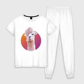 Женская пижама хлопок с принтом Лама_2 , 100% хлопок | брюки и футболка прямого кроя, без карманов, на брюках мягкая резинка на поясе и по низу штанин | alpaca | lama | альпака | арт | животные | картинка | лама | милое животное | рисунок