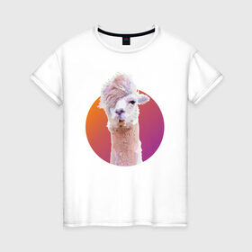 Женская футболка хлопок с принтом Лама_2 , 100% хлопок | прямой крой, круглый вырез горловины, длина до линии бедер, слегка спущенное плечо | alpaca | lama | альпака | арт | животные | картинка | лама | милое животное | рисунок