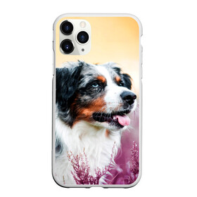 Чехол для iPhone 11 Pro Max матовый с принтом Австралийская Овчарка , Силикон |  | Тематика изображения на принте: dog | австралийская | животные | овчарка | пес | природа | собака | собаки | собакчка | собачки