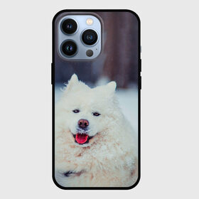 Чехол для iPhone 13 Pro с принтом САМОЕД ,  |  | animals | dog | winter | домашние | друг | животные | звери | зима | лайка | пес | песель | природа | пушистый | самоед | собаки | собачка | хаски