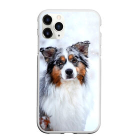 Чехол для iPhone 11 Pro матовый с принтом Австралийская овчарка , Силикон |  | Тематика изображения на принте: dog | австралийская | животные | овчарка | пес | природа | собака | собаки | собакчка | собачки