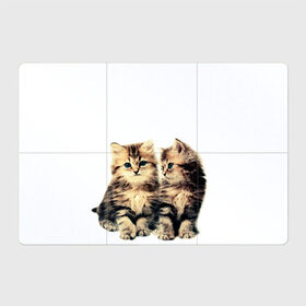 Магнитный плакат 3Х2 с принтом котята , Полимерный материал с магнитным слоем | 6 деталей размером 9*9 см | cute kittens | kittens | котята | красивые котята | милые котята