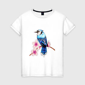 Женская футболка хлопок с принтом Сойка на ветке , 100% хлопок | прямой крой, круглый вырез горловины, длина до линии бедер, слегка спущенное плечо | арт | ветка дерева | веточка | веточка дерева | голубая сойка | рисунок | розовые цветы | розовый цветок | сакура | синяя птица ветка | синяя сойка | сойка | цветок | цветы