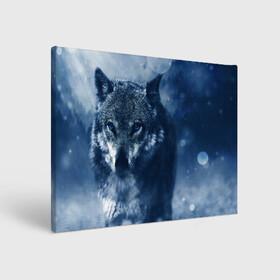 Холст прямоугольный с принтом Красивый волк , 100% ПВХ |  | wolf | ауф | волк | волчонок | зима | синеглазый волк