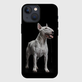 Чехол для iPhone 13 mini с принтом Bully ,  |  | Тематика изображения на принте: bull terrier | dog | ears | eyes | fangs | jaw | muzzle | paws | saliva | tongue | бультерьер | глаза | клыки | лапы | нос | пасть | слюна | собака | уши | язык