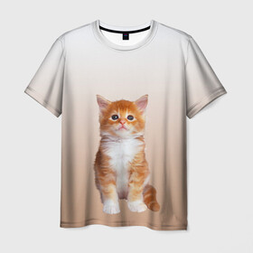 Мужская футболка 3D с принтом бело-рыжий котенок реализм , 100% полиэфир | прямой крой, круглый вырез горловины, длина до линии бедер | Тематика изображения на принте: cat | kitten | бело рыжий | градиент | кот | котейка | котенок | котеночек | котик | котофей | котэ | кошка | малыш | милаш | мяу | нэко | реализм | рыже белый