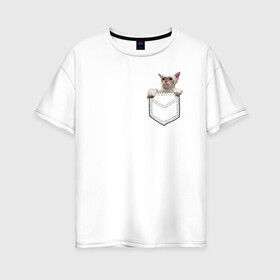 Женская футболка хлопок Oversize с принтом Мокрый Кот в Кармане , 100% хлопок | свободный крой, круглый ворот, спущенный рукав, длина до линии бедер
 | в кармане | животные | звери | котенок | кошка | лапки | мокрый | прикол