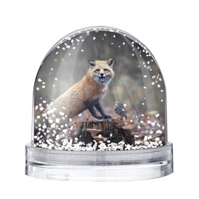 Снежный шар с принтом Лисица и птичка , Пластик | Изображение внутри шара печатается на глянцевой фотобумаге с двух сторон | Тематика изображения на принте: fox | foxy | животное | звери | лиса | лисенок | лисичка | милая | рыжая | фокс