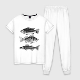 Женская пижама хлопок с принтом караси , 100% хлопок | брюки и футболка прямого кроя, без карманов, на брюках мягкая резинка на поясе и по низу штанин | Тематика изображения на принте: ocean | sea | sea animal | графика | карась | море | океан | река | рисунок рыбы | рыба | рыбалка