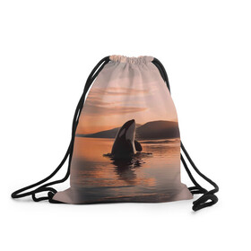 Рюкзак-мешок 3D с принтом касатки на закате , 100% полиэстер | плотность ткани — 200 г/м2, размер — 35 х 45 см; лямки — толстые шнурки, застежка на шнуровке, без карманов и подкладки | ocean | orca | sea | sea animal | дельфин | закат | касатка | кит | море | океан | рисунок кита