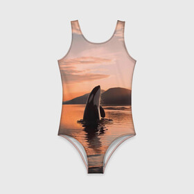 Детский купальник 3D с принтом касатки на закате , Полиэстер 85%, Спандекс 15% | Слитный крой, подклад по переду изделия, узкие бретели | ocean | orca | sea | sea animal | дельфин | закат | касатка | кит | море | океан | рисунок кита