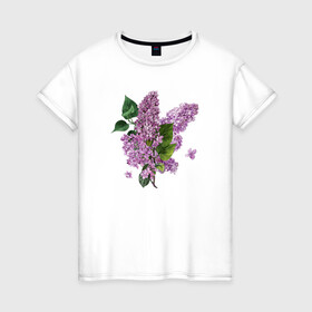 Женская футболка хлопок с принтом СИРЕНЬ АКВАРЕЛЬЮ , 100% хлопок | прямой крой, круглый вырез горловины, длина до линии бедер, слегка спущенное плечо | акварель | акварельные | акварелью | бабочки | букет | букет из цветов | летние цветы | сиреневые цветы | сирень | цветы