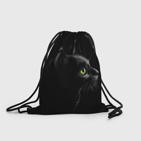 Рюкзак-мешок 3D с принтом Черный кот , 100% полиэстер | плотность ткани — 200 г/м2, размер — 35 х 45 см; лямки — толстые шнурки, застежка на шнуровке, без карманов и подкладки | Тематика изображения на принте: взгляд | глаза | киса | киска | кот | котик | котяра | профиль | пушистый | усы