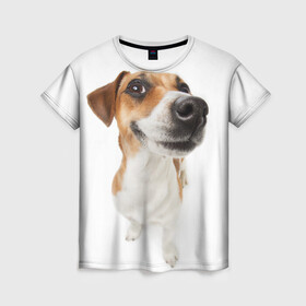 Женская футболка 3D с принтом Собака , 100% полиэфир ( синтетическое хлопкоподобное полотно) | прямой крой, круглый вырез горловины, длина до линии бедер | dog | джек | джек рассел | джек рассел терьер | дог | домашние животные | рассел | рассел терьер | собака | собаки | терьер