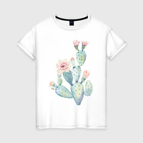 Женская футболка хлопок с принтом Нежный акварельный кактус  , 100% хлопок | прямой крой, круглый вырез горловины, длина до линии бедер, слегка спущенное плечо | акварель | кактус | колючий | нежный акварельный кактус | растение | цветок