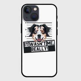 Чехол для iPhone 13 mini с принтом Австралийская Овчарка (Australian Shepherd) ,  |  | Тематика изображения на принте: animal | australian shepherd | dog | австралийская овчарка | аусси | год собаки | друг человека | животное | зверь | кинолог | колли | овчарка | пастушья собака | пёс | собака овчарка | собаковод | четвероногий