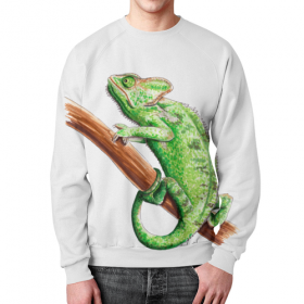full_print_sweatshirt с принтом Зеленый хамелеон на ветке ,  |  | Тематика изображения на принте: 