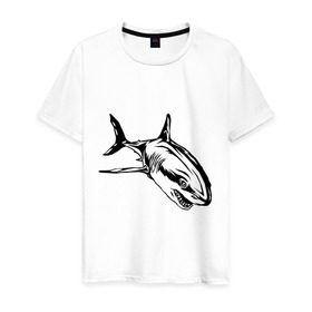 Мужская футболка хлопок с принтом Акула , 100% хлопок | прямой крой, круглый вырез горловины, длина до линии бедер, слегка спущенное плечо. | shark | акула | животные | рыба | хищник