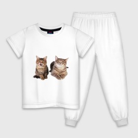 Детская пижама хлопок с принтом Котёнок и кошка , 100% хлопок |  брюки и футболка прямого кроя, без карманов, на брюках мягкая резинка на поясе и по низу штанин
 | Тематика изображения на принте: киса | котенок | котик | кошка