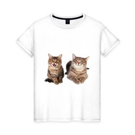 Женская футболка хлопок с принтом Кошка и котёнок , 100% хлопок | прямой крой, круглый вырез горловины, длина до линии бедер, слегка спущенное плечо | 