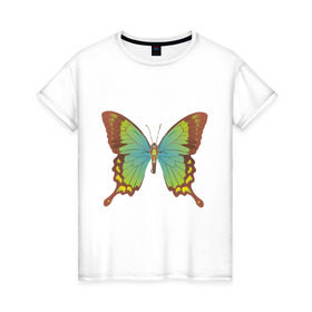 Женская футболка хлопок с принтом Красивая Бабочка , 100% хлопок | прямой крой, круглый вырез горловины, длина до линии бедер, слегка спущенное плечо | крылатые | насекомые