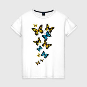 Женская футболка хлопок с принтом Полет бабочки , 100% хлопок | прямой крой, круглый вырез горловины, длина до линии бедер, слегка спущенное плечо | бабочки | животные | насекомые | полет бабочки