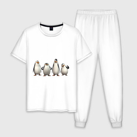 Мужская пижама хлопок с принтом Пингвины Мадагаскар , 100% хлопок | брюки и футболка прямого кроя, без карманов, на брюках мягкая резинка на поясе и по низу штанин
 | Тематика изображения на принте: пингвин