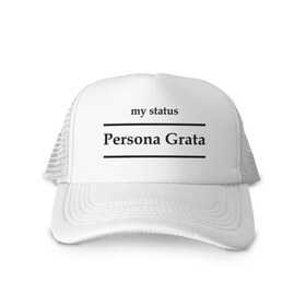 Кепка тракер с сеткой с принтом Persona Grata , трикотажное полотно; задняя часть — сетка | длинный козырек, универсальный размер, пластиковая застежка | club | persona grata | логотип | мой статус | персона грата
