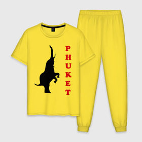 Мужская пижама хлопок с принтом Phuket (5) , 100% хлопок | брюки и футболка прямого кроя, без карманов, на брюках мягкая резинка на поясе и по низу штанин
 | 